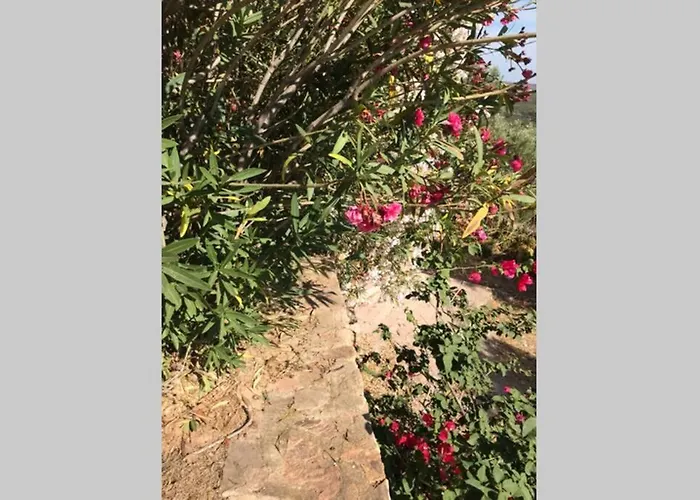 Le Farfalle In Trifamiliare * Porto Istana