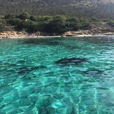 Le Farfalle In Trifamiliare Casa vacanze