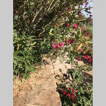 Le Farfalle * Porto Istana
