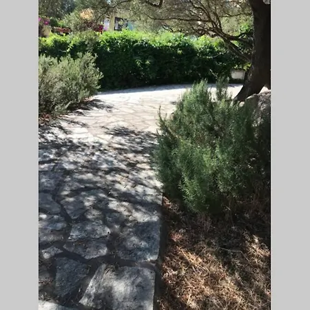 Le Farfalle In Trifamiliare Casa vacanze Porto Istana